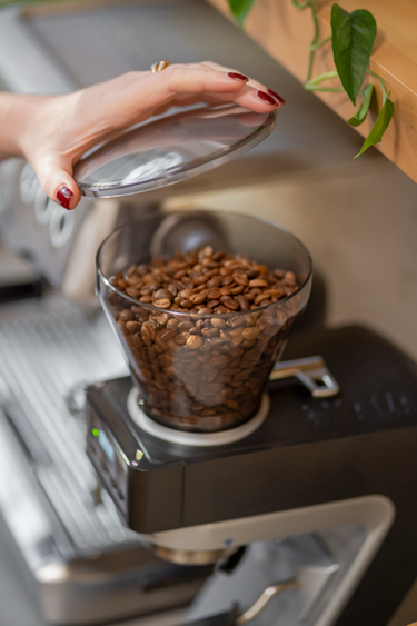 Flavor Notes in Coffee